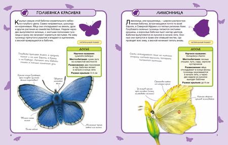 Фотография книги "Камилла де: Бабочки"
