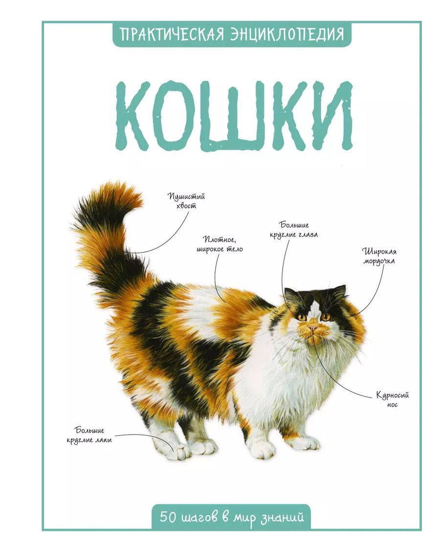 Обложка книги "Камилла де: Кошки"