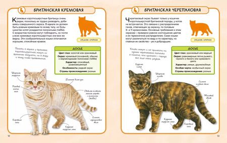 Фотография книги "Камилла де: Кошки"