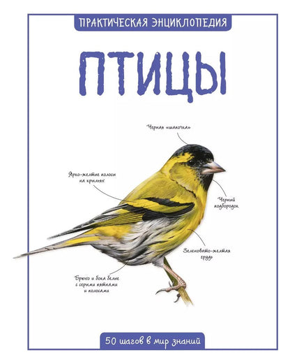 Обложка книги "Камилла де: Птицы"