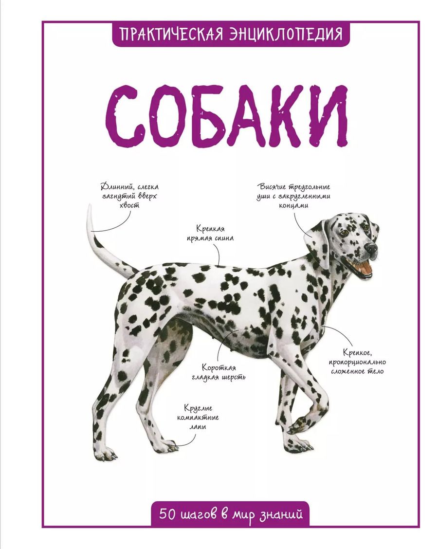 Обложка книги "Камилла де: Собаки"