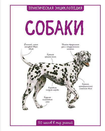 Обложка книги "Камилла де: Собаки"