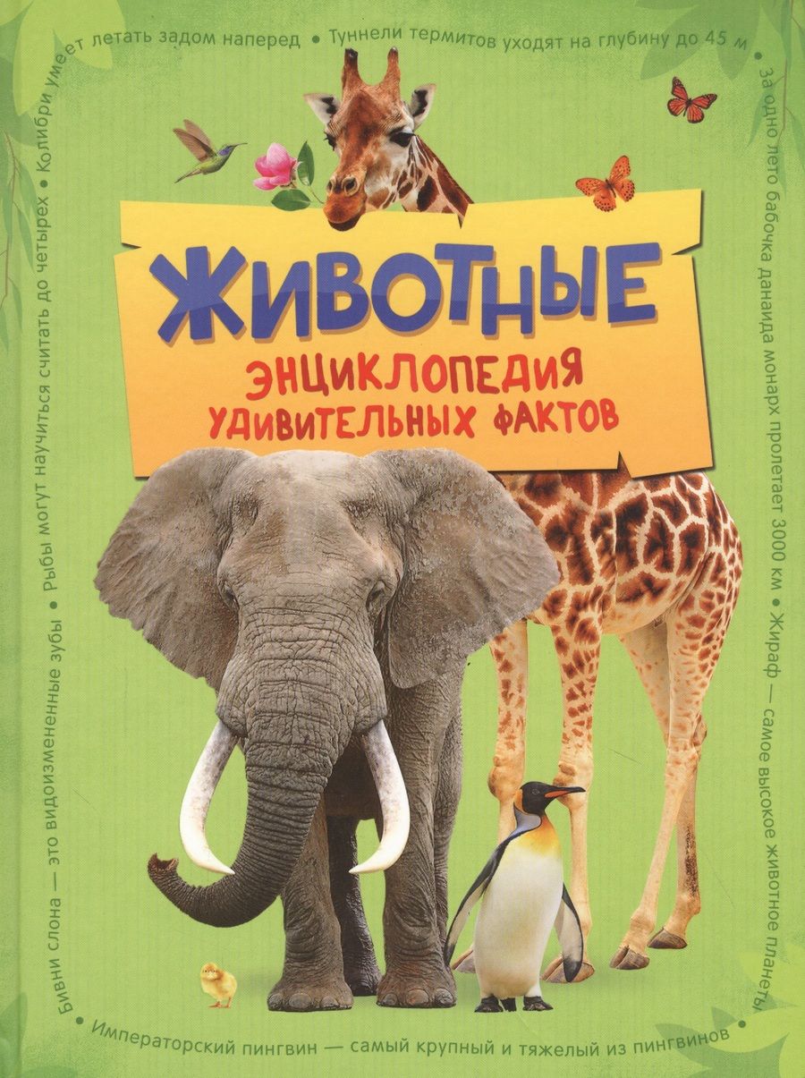Обложка книги "Камилла де: Животные. Энциклопедия удивительных фактов"