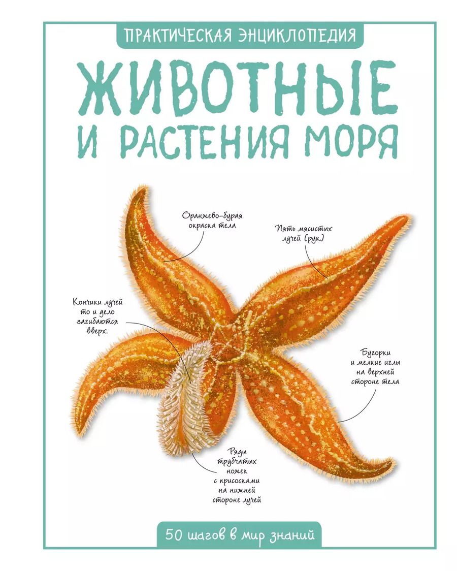 Обложка книги "Камилла де: Животные и растения моря"