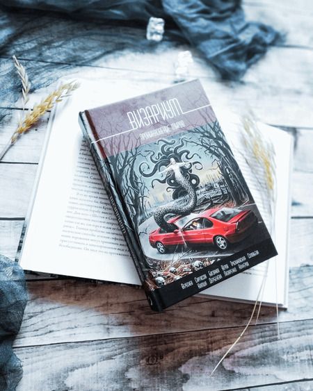 Фотография книги "Камша, Трускиновская, Богданов: Визариум. Проникновение миров"