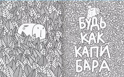 Фотография книги "Капибара релакс. Раскраска-антистресс"