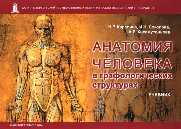 Обложка книги "Карелина, Соколова, Хисамутдинова: Анатомия человека в графологических структурах. Учебник"
