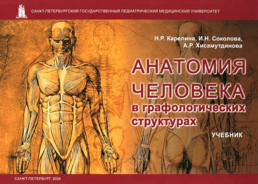 Обложка книги "Карелина, Соколова, Хисамутдинова: Анатомия человека в графологических структурах. Учебник"