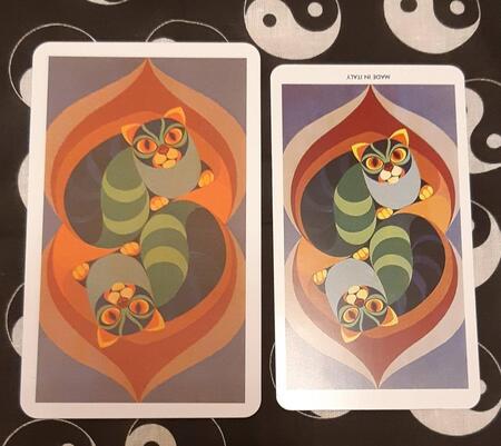 Фотография книги "Карен Кайкендалл: Таро Люди Кошки (78 карт + книга)"