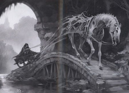 Фотография книги "Каримова: Колесо Фортуны"