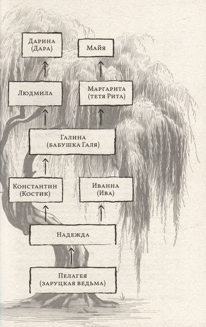 Фотография книги "Каримова: Приплывший дом"