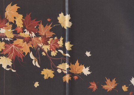 Фотография книги "Карина Демина: Такие разные некроманты"