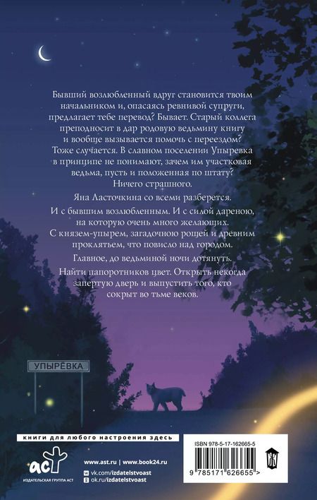 Фотография книги "Карина Демина: Ведьмина ночь"