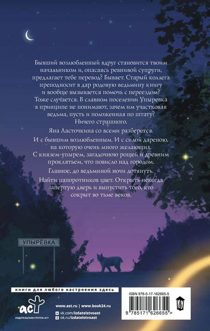 Фотография книги "Карина Демина: Ведьмина ночь"