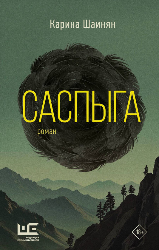 Обложка книги "Карина Шаинян: Саспыга"