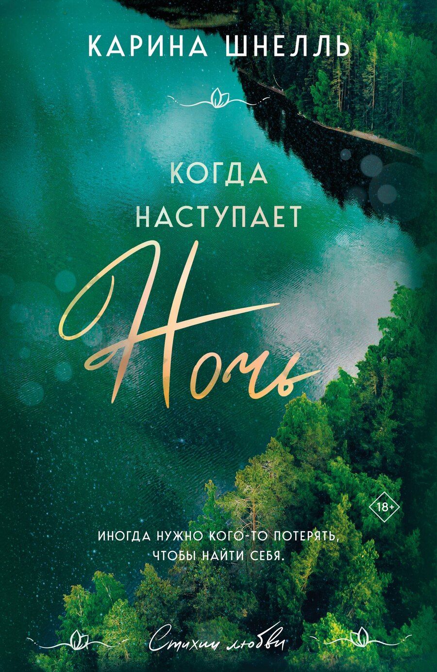 Обложка книги "Карина Шнелль: Когда наступает ночь"