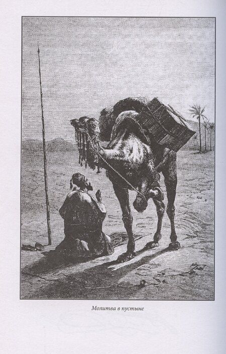 Фотография книги "Карл Фридрих: По ту сторону"