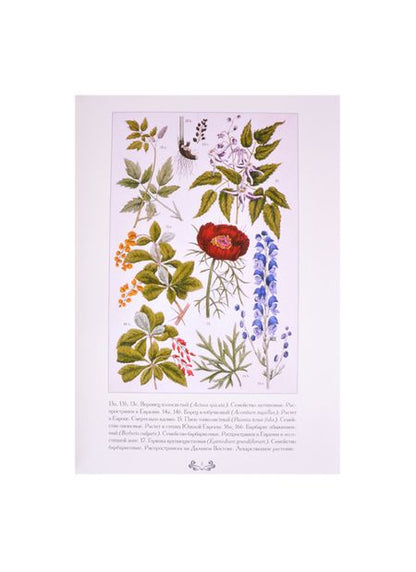 Фотография книги "Карл Гофман: Ботанический атлас. Карл фон Гофман"