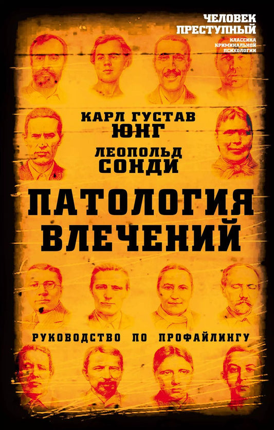 Обложка книги "Карл Юнг: Патология влечений. Руководство по профайлингу"