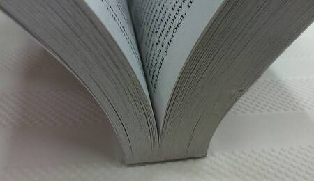 Фотография книги "Карлайл: Красивая как ночь"
