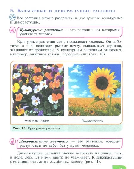 Фотография книги "Карман, Ковалева, Зак: Технология. Цветоводство и декоративное садоводство. 5 класс. Учебник. Адаптированные пр. ФГОС ОВЗ"