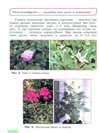 Фотография книги "Карман, Ковалева, Зак: Технология. Цветоводство и декоративное садоводство. 6 класс. Учебник. Адаптированные прог. ФГОС ОВЗ"