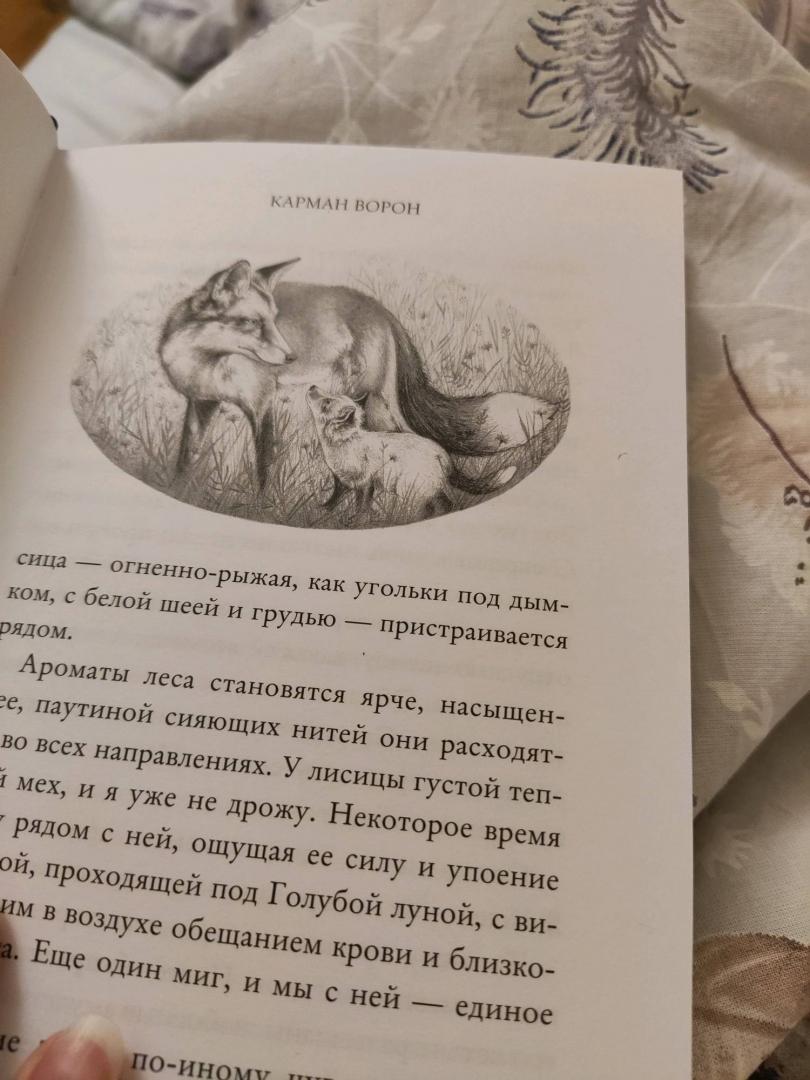 Фотография книги "Карман ворон"