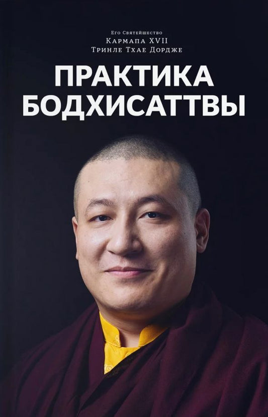 Обложка книги "Кармапа: Практика Бодхисаттвы"