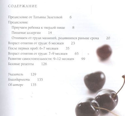 Фотография книги "Кармель, Мищенкова, Залетова: Быстро-пюре. Первый прикорм без забот"