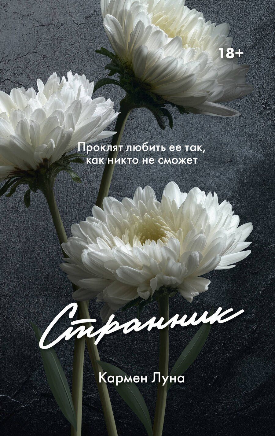 Обложка книги "Кармен Луна: Странник"