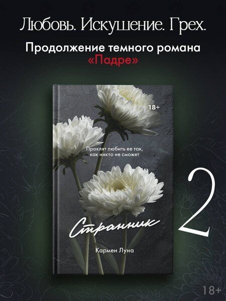 Фотография книги "Кармен Луна: Странник"