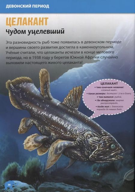 Фотография книги "Кармен Родригес: Динозавры и доисторические животные. Детская энц."