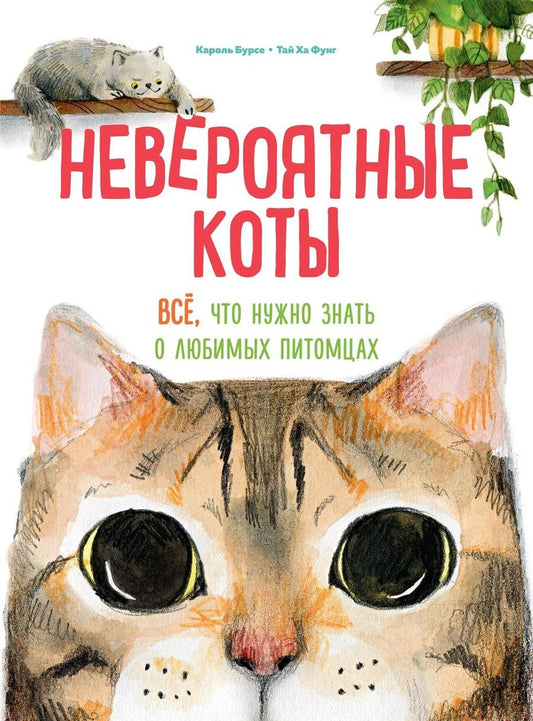Обложка книги "Кароль Бурсе: Невероятные коты. Всё, что нужно знать о любимых питомцах"