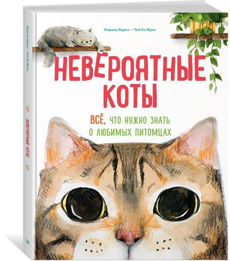Фотография книги "Кароль Бурсе: Невероятные коты. Всё, что нужно знать о любимых питомцах"