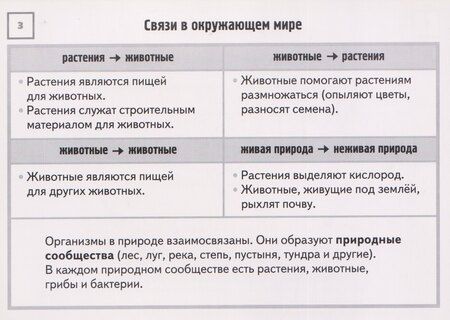 Фотография книги "Карточки-шпаргалки. Окружающий мир. 1-4 классы. 32 карточки"
