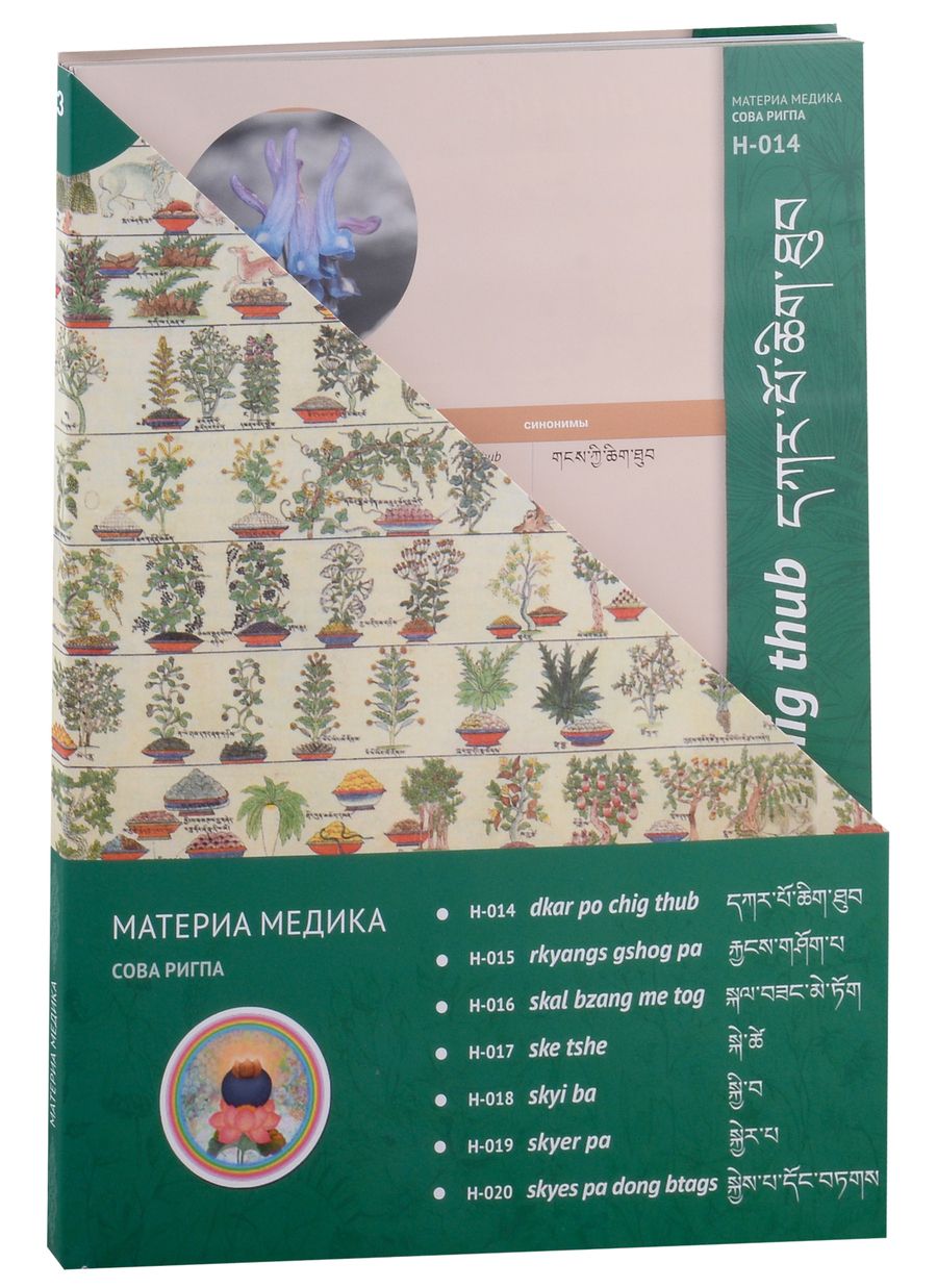 Обложка книги "Карточки Материя Медика Комплект №3"