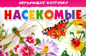 Обложка книги "Карточки "Насекомые""