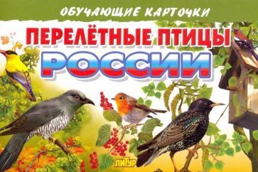 Обложка книги "Карточки Перелетные птицы России"