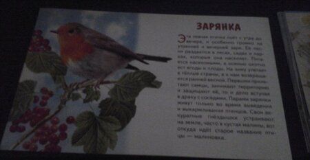 Фотография книги "Карточки Перелетные птицы России"