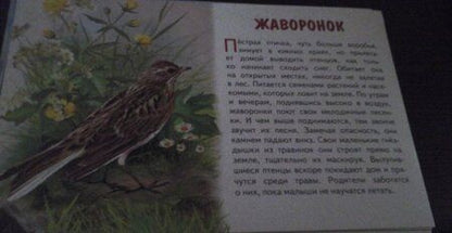 Фотография книги "Карточки Перелетные птицы России"