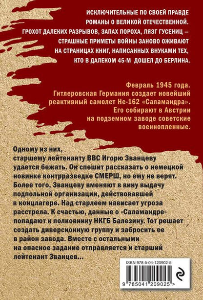 Фотография книги "Каржавин: Небесные мстители"