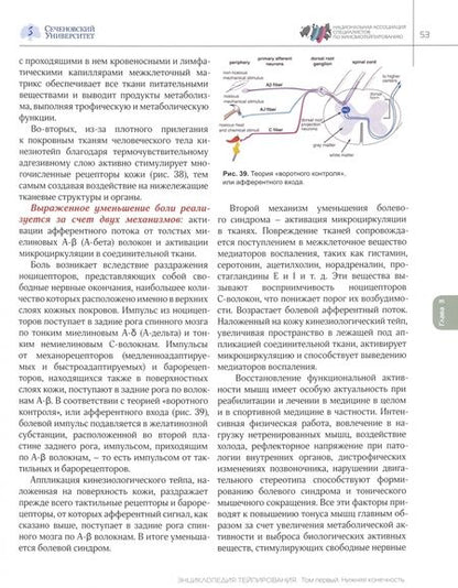 Фотография книги "Касаткин, Ачкасов, Шлыков: Энциклопедия тейпирования. Том 1. Нижняя конечность"