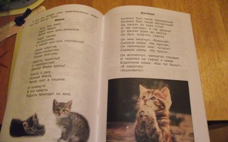 Фотография книги "Кашекова, Кашеков: Изобразительное искусство. 1 класс. Тетрадь для самостоятельной работы"