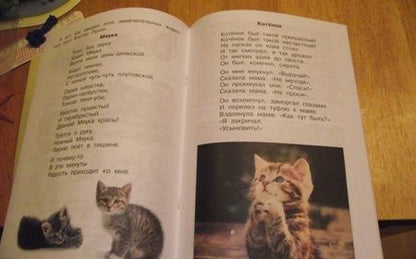 Фотография книги "Кашекова, Кашеков: Изобразительное искусство. 1 класс. Тетрадь для самостоятельной работы"