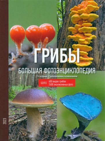 Обложка книги "Кашпор: Грибы. Большая фотоэнциклопедия"