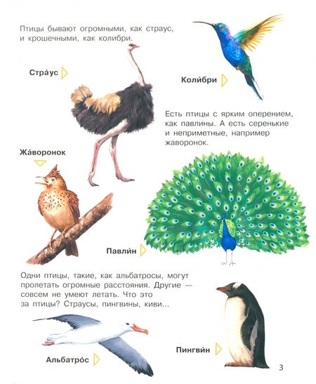 Фотография книги "Каспарова: Птицы"