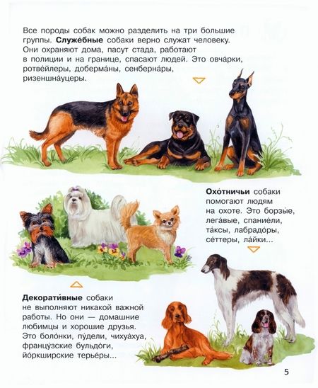 Фотография книги "Каспарова: Собаки"