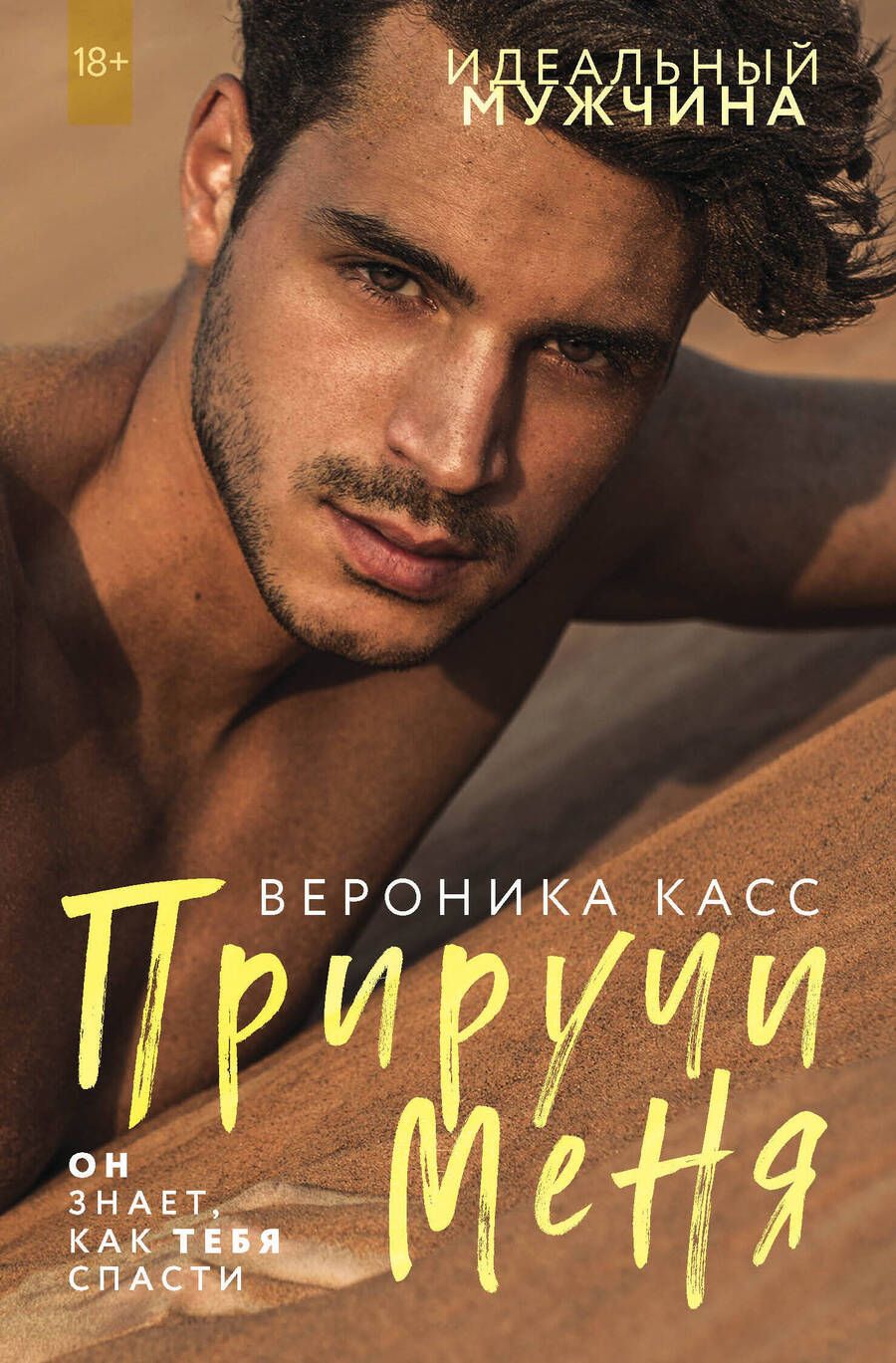 Обложка книги "Касс: Приручи меня"