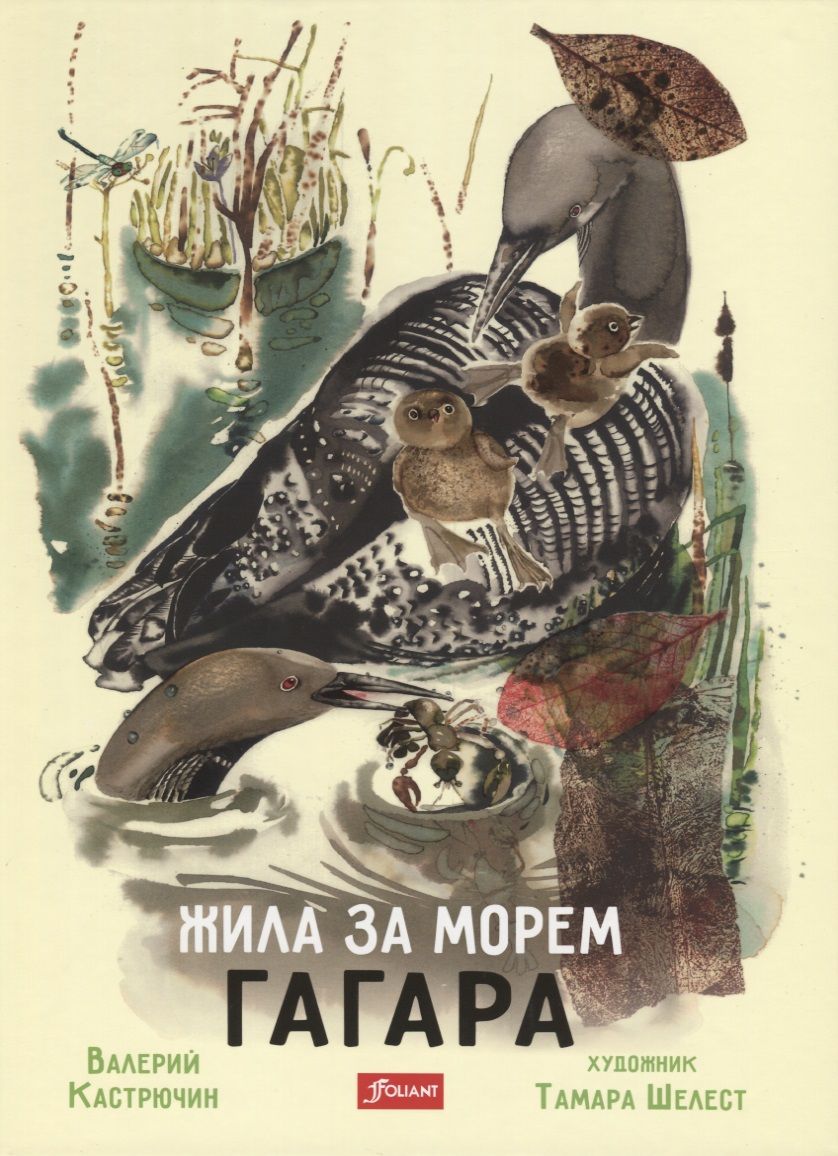 Обложка книги "Кастрючин: Жила за морем Гагара"