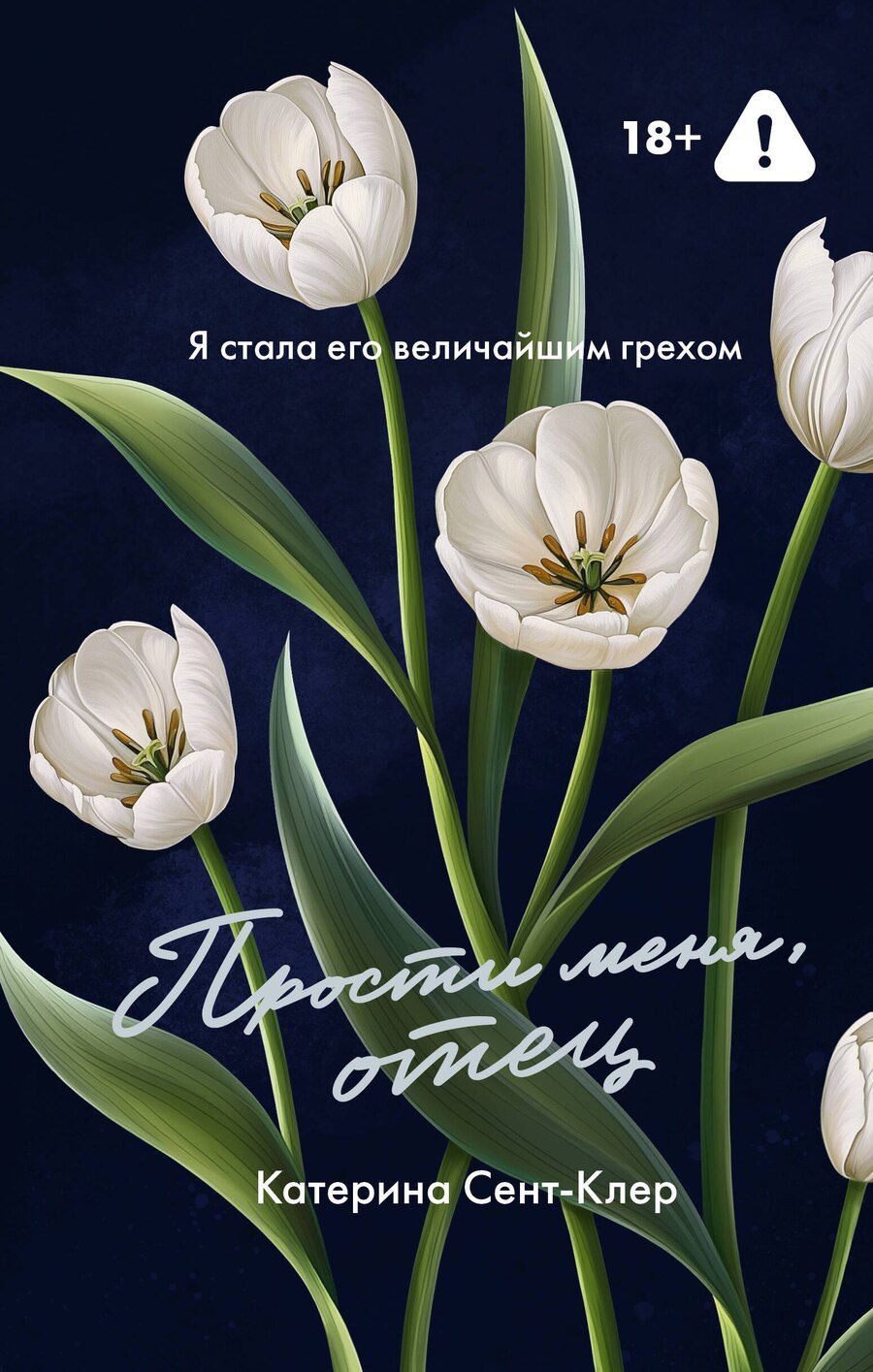 Обложка книги "Катерина Сент-Клер: Прости меня, отец"